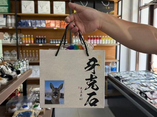 情感共鸣 牙克石文创冰箱贴“大受欢迎”pg模拟器试玩北疆文化 方寸之间引发(图4)